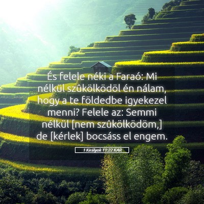 Picture 05 - 1 Királyok 11:22 KAR - És felele néki a Faraó: Mi nélkül - Bible Verse Picture