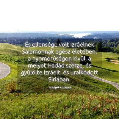 Picture 05 - 1 Királyok 11:25 KAR - És ellensége volt Izráelnek Salamonnak egész - Bible Verse Picture