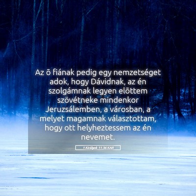 Picture 05 - 1 Királyok 11:36 KAR - Az õ fiának pedig egy nemzetséget adok, hogy - Bible Verse Picture