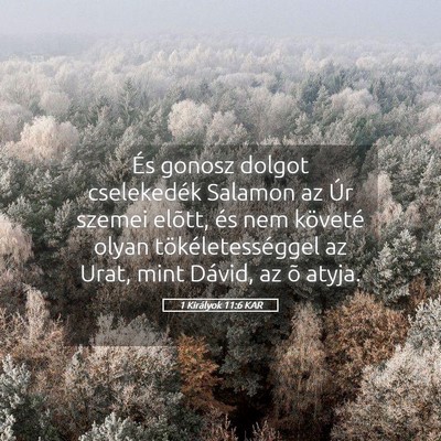 Picture 05 - 1 Királyok 11:6 KAR - És gonosz dolgot cselekedék Salamon az Úr - Bible Verse Picture