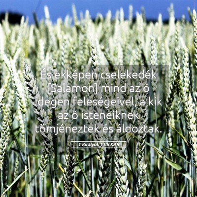 Picture 05 - 1 Királyok 11:8 KAR - És ekképen cselekedék [Salamon] mind az õ - Bible Verse Picture