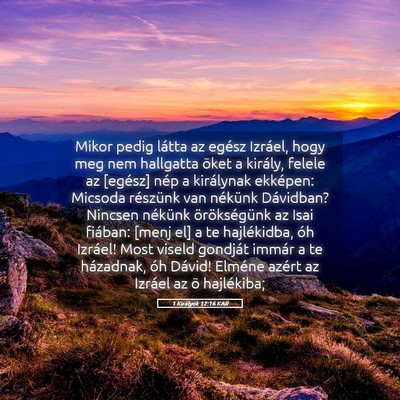 Picture 05 - 1 Királyok 12:16 KAR - Mikor pedig látta az egész Izráel, hogy meg - Bible Verse Picture
