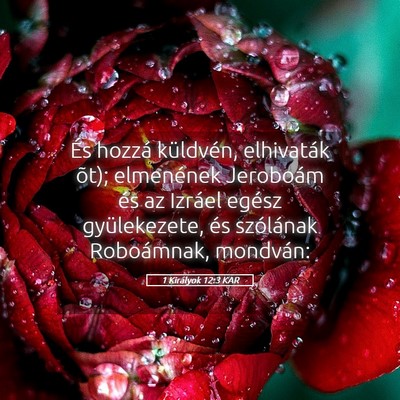 Picture 05 - 1 Királyok 12:3 KAR - És hozzá küldvén, elhivaták õt); elmenének - Bible Verse Picture