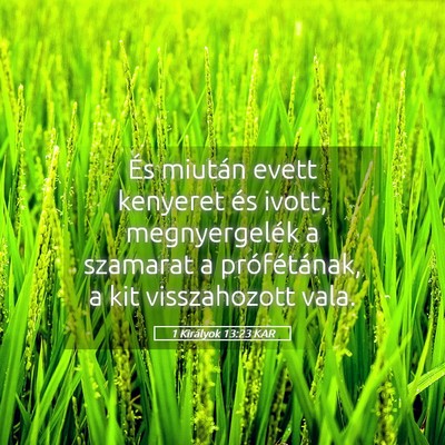 Picture 05 - 1 Királyok 13:23 KAR - És miután evett kenyeret és ivott, - Bible Verse Picture