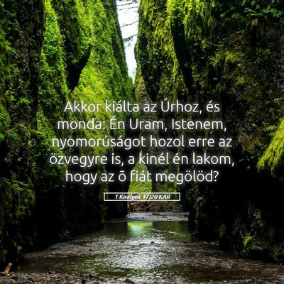 Picture 05 - 1 Királyok 17:20 KAR - Akkor kiálta az Úrhoz, és monda: Én Uram, - Bible Verse Picture
