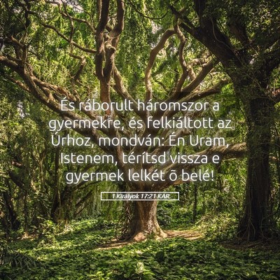 Picture 05 - 1 Királyok 17:21 KAR - És ráborult háromszor a gyermekre, és - Bible Verse Picture