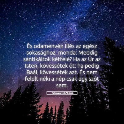 Picture 05 - 1 Királyok 18:21 KAR - És odamenvén Illés az egész sokasághoz, - Bible Verse Picture