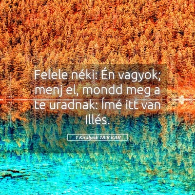 Picture 05 - 1 Királyok 18:8 KAR - Felele néki: Én vagyok; menj el, mondd meg a te - Bible Verse Picture