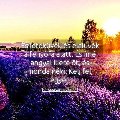 Picture 05 - 1 Királyok 19:5 KAR - És lefeküvék és elaluvék a fenyõfa alatt. - Bible Verse Picture