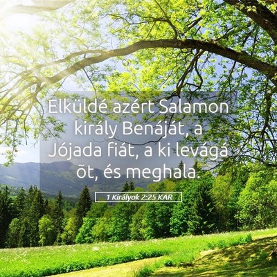 Picture 05 - 1 Királyok 2:25 KAR - Elküldé azért Salamon király Benáját, a - Bible Verse Picture
