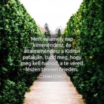 Picture 05 - 1 Királyok 2:37 KAR - Mert valamely nap kimenéndesz, és - Bible Verse Picture