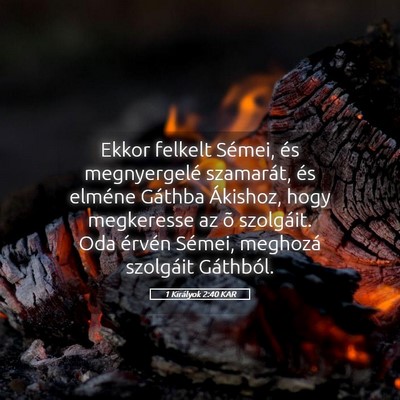 Picture 05 - 1 Királyok 2:40 KAR - Ekkor felkelt Sémei, és megnyergelé szamarát, - Bible Verse Picture