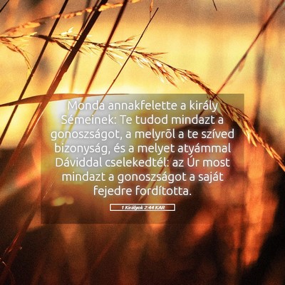 Picture 05 - 1 Királyok 2:44 KAR - Monda annakfelette a király Sémeinek: Te tudod - Bible Verse Picture