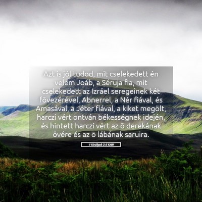 Picture 05 - 1 Királyok 2:5 KAR - Azt is jól tudod, mit cselekedett én velem - Bible Verse Picture