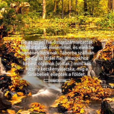 Picture 05 - 1 Királyok 20:27 KAR - De az Izráel fiai összeszámláltattak és - Bible Verse Picture