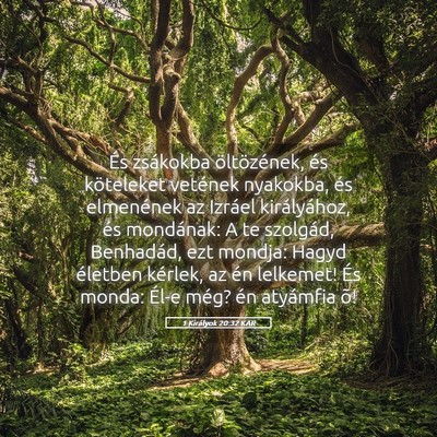 Picture 05 - 1 Királyok 20:32 KAR - És zsákokba öltözének, és köteleket - Bible Verse Picture