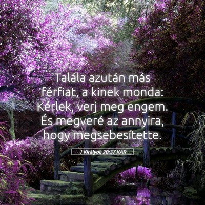 Picture 05 - 1 Királyok 20:37 KAR - Talála azután más férfiat, a kinek monda: - Bible Verse Picture