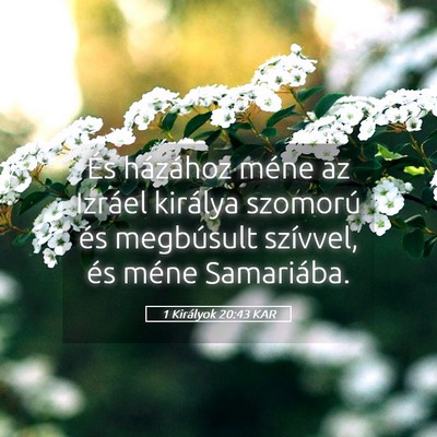 Picture 05 - 1 Királyok 20:43 KAR - És házához méne az Izráel királya szomorú - Bible Verse Picture