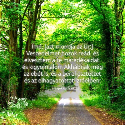 Picture 05 - 1 Királyok 21:21 KAR - Ímé, [azt mondja az Úr:] Veszedelmet hozok - Bible Verse Picture