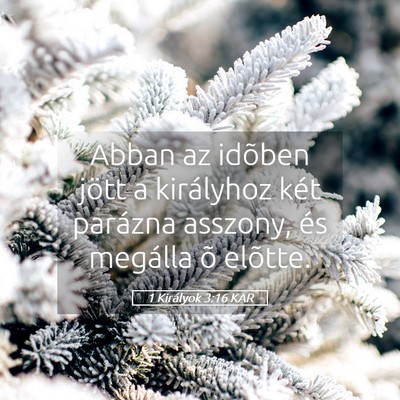 Picture 05 - 1 Királyok 3:16 KAR - Abban az idõben jött a királyhoz két parázna - Bible Verse Picture