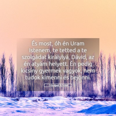 Picture 05 - 1 Királyok 3:7 KAR - És most, óh én Uram Istenem, te tetted a te - Bible Verse Picture
