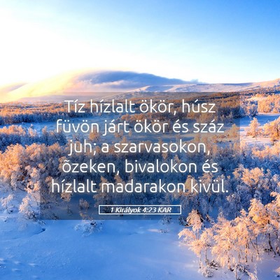 Picture 05 - 1 Királyok 4:23 KAR - Tíz hízlalt ökör, húsz füvön járt ökör - Bible Verse Picture
