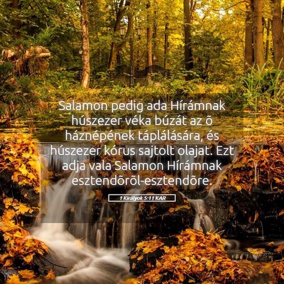 Picture 05 - 1 Királyok 5:11 KAR - Salamon pedig ada Hírámnak húszezer véka - Bible Verse Picture