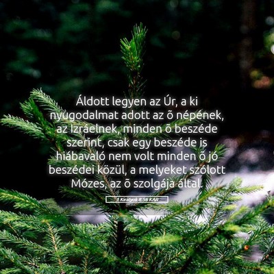 Picture 05 - 1 Királyok 8:56 KAR - Áldott legyen az Úr, a ki nyugodalmat adott az - Bible Verse Picture