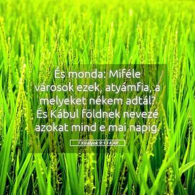 Picture 05 - 1 Királyok 9:13 KAR - És monda: Miféle városok ezek, atyámfia, a - Bible Verse Picture