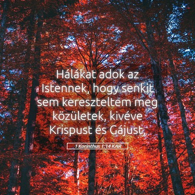Picture 05 - 1 Korinthus 1:14 KAR - Hálákat adok az Istennek, hogy senkit sem - Bible Verse Picture