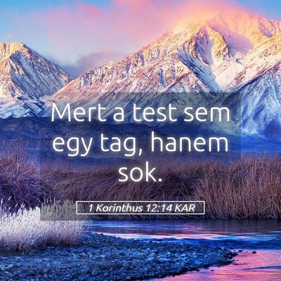 Picture 05 - 1 Korinthus 12:14 KAR - Mert a test sem egy tag, hanem - Bible Verse Picture