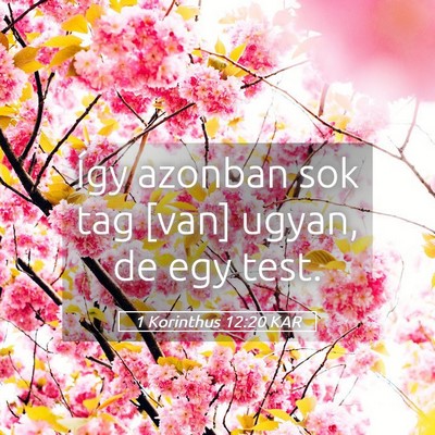 Picture 05 - 1 Korinthus 12:20 KAR - Így azonban sok tag [van] ugyan, de egy - Bible Verse Picture