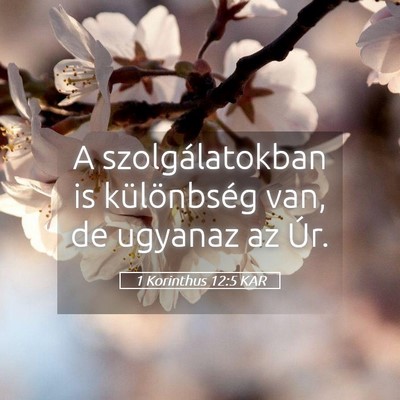 Picture 05 - 1 Korinthus 12:5 KAR - A szolgálatokban is különbség van, de ugyanaz - Bible Verse Picture
