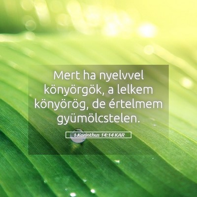 Picture 05 - 1 Korinthus 14:14 KAR - Mert ha nyelvvel könyörgök, a lelkem - Bible Verse Picture