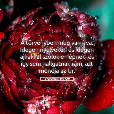 Picture 05 - 1 Korinthus 14:21 KAR - A törvényben meg van írva: Idegen nyelveken - Bible Verse Picture