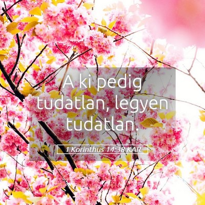 Picture 05 - 1 Korinthus 14:38 KAR - A ki pedig tudatlan, legyen - Bible Verse Picture