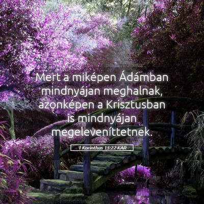 Picture 05 - 1 Korinthus 15:22 KAR - Mert a miképen Ádámban mindnyájan meghalnak, - Bible Verse Picture