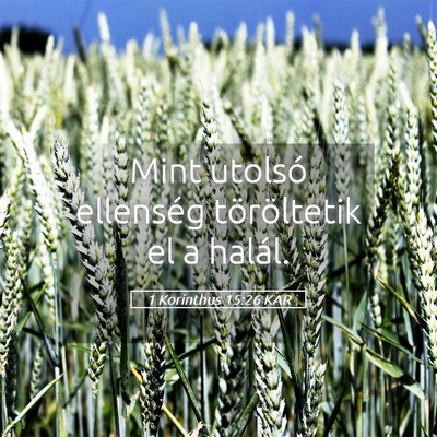 Picture 05 - 1 Korinthus 15:26 KAR - Mint utolsó ellenség töröltetik el a - Bible Verse Picture