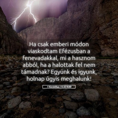 Picture 05 - 1 Korinthus 15:32 KAR - Ha csak emberi módon viaskodtam Efézusban a - Bible Verse Picture