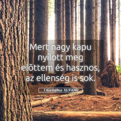 Picture 05 - 1 Korinthus 16:9 KAR - Mert nagy kapu nyílott meg elõttem és hasznos, - Bible Verse Picture