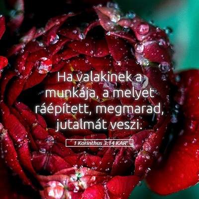 Picture 05 - 1 Korinthus 3:14 KAR - Ha valakinek a munkája, a melyet ráépített, - Bible Verse Picture