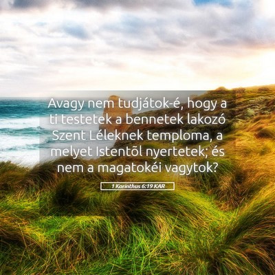 Picture 05 - 1 Korinthus 6:19 KAR - Avagy nem tudjátok-é, hogy a ti testetek a - Bible Verse Picture