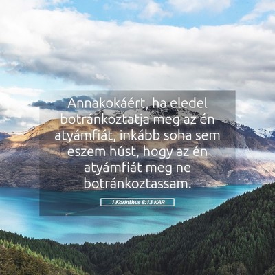 Picture 05 - 1 Korinthus 8:13 KAR - Annakokáért, ha eledel botránkoztatja meg az - Bible Verse Picture
