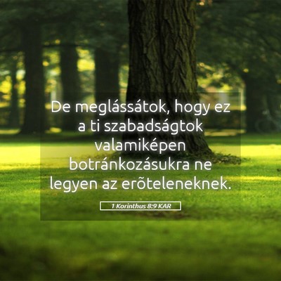 Picture 05 - 1 Korinthus 8:9 KAR - De meglássátok, hogy ez a ti szabadságtok - Bible Verse Picture