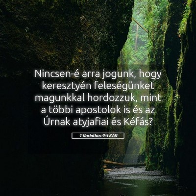 Picture 05 - 1 Korinthus 9:5 KAR - Nincsen-é arra jogunk, hogy keresztyén - Bible Verse Picture
