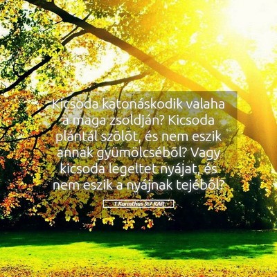 Picture 05 - 1 Korinthus 9:7 KAR - Kicsoda katonáskodik valaha a maga zsoldján? - Bible Verse Picture