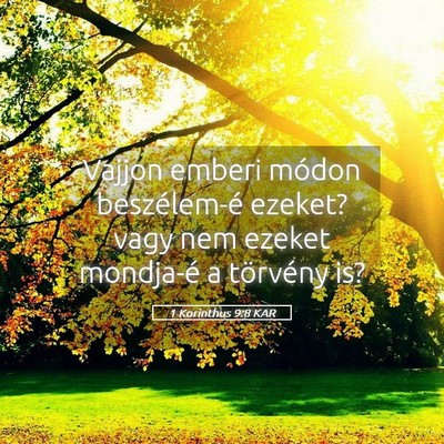 Picture 05 - 1 Korinthus 9:8 KAR - Vajjon emberi módon beszélem-é ezeket? vagy - Bible Verse Picture