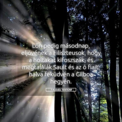 Picture 05 - 1 Krónika 10:8 KAR - Lõn pedig másodnap, eljövének a Filiszteusok, - Bible Verse Picture