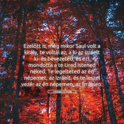 Picture 05 - 1 Krónika 11:2 KAR - Ezelõtt is, még mikor Saul volt a király, te - Bible Verse Picture
