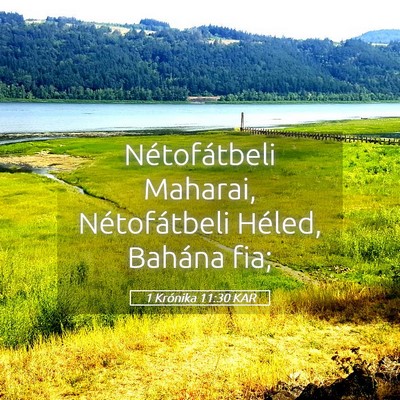 Picture 05 - 1 Krónika 11:30 KAR - Nétofátbeli Maharai, Nétofátbeli Héled, - Bible Verse Picture